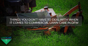 Things You Don’t Have To Deal With When It Comes to Commercial Lawn Care In DFW